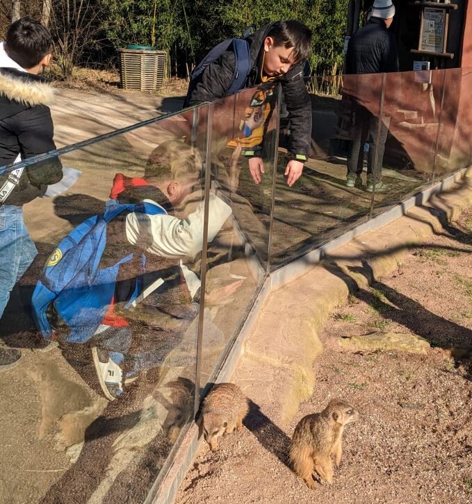 Kinder im Zoo bei den Erdmännchen, Foto Lena