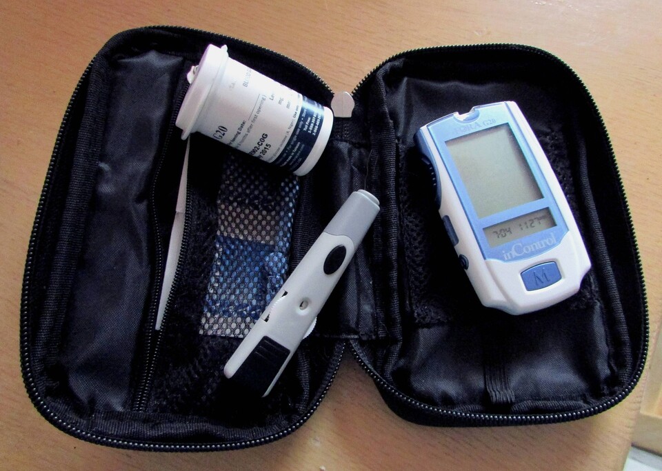 Tasche für Diabeteszubehör mit BZ Messgerät und Stechhilfe sowie Lanzetten und Teststreifen